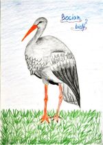 Rerková Adriana.jpg